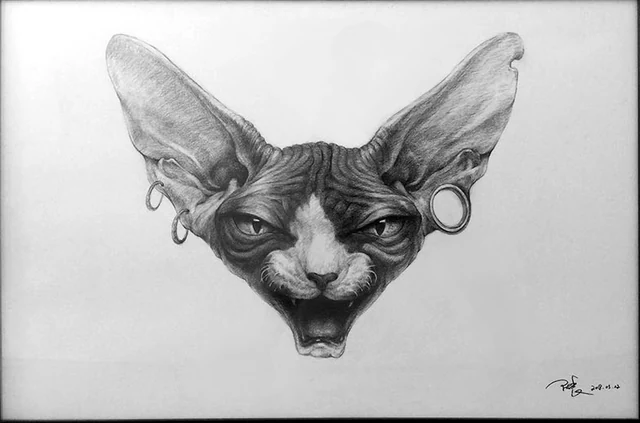 Pencil portrait of a Sphynx cat with an expressive face