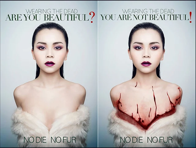 Two photographic portraits in an anti-fur campaign study